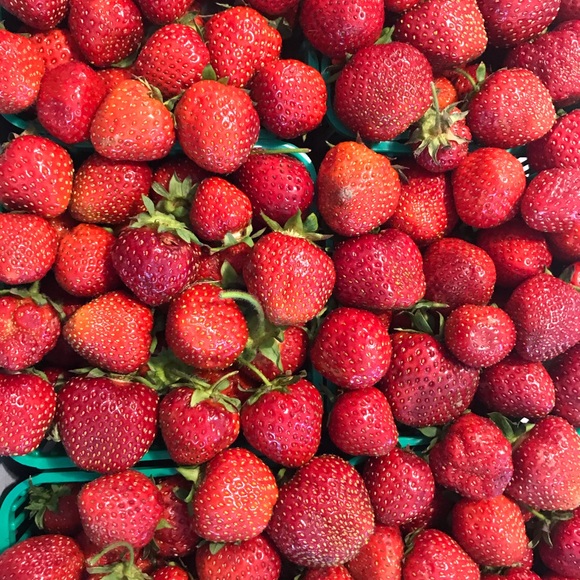 Meet your Posher, Kate - Picture 1 of 1